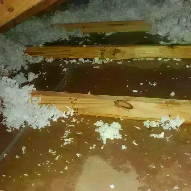 Attic Water Damage in Corvallis, OR